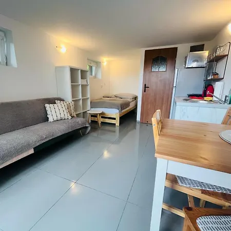 別荘 U Zuzi W Sianozetach